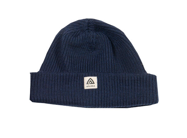 Forester cap Navy Onesize