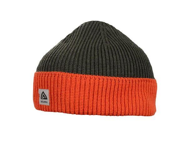 Explorer beanie OliveNight/Poinciana Onesize